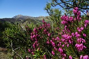 Sul CORNO ZUCCONE, guardiano della Val Taleggio, il 27 aprile 2016 - FOTOGALLERY